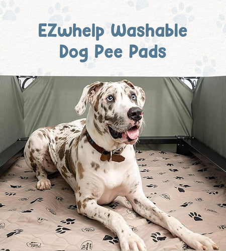 Pee Pads for Dogs - Dog & Puppy Training & Whelping Pads - Rounded Corners - Washable, Reusable - Waterproof, Sanitary Potty Protector Dog Mat - Pet Essentials - 2 Pack