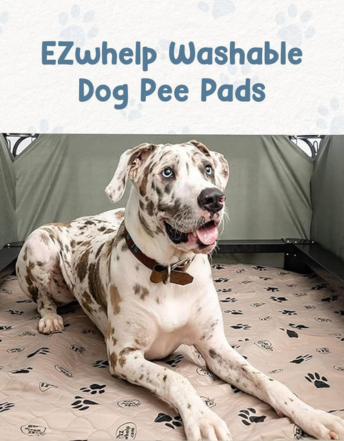 Load image into Gallery viewer, Pee Pads for Dogs - Dog &amp; Puppy Training &amp; Whelping Pads - Rounded Corners - Washable, Reusable - Waterproof, Sanitary Potty Protector Dog Mat - Pet Essentials - 2 Pack
